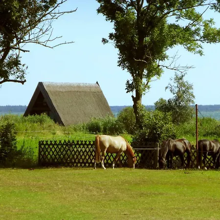 Steinbock-Ferienwohnungen Kölpinsee Exterior foto