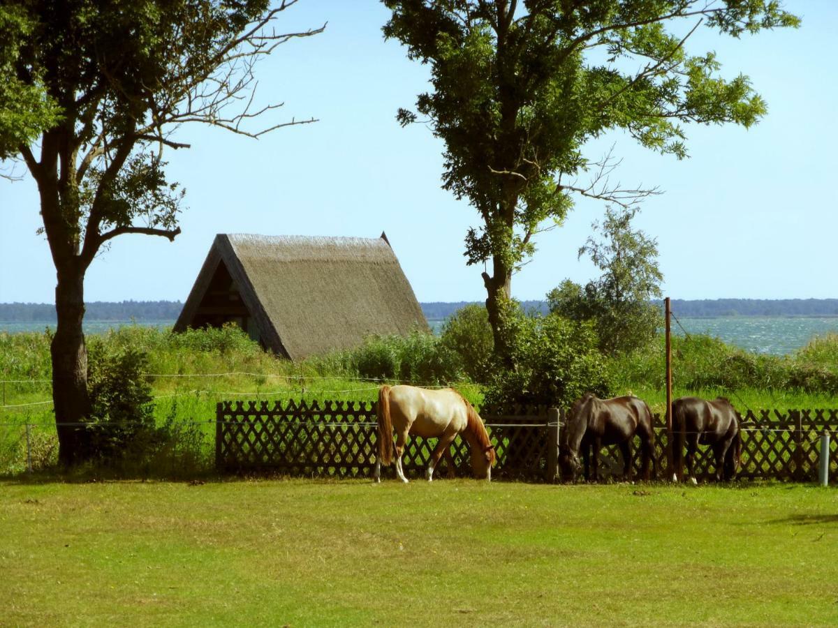 Steinbock-ferienwohnungen Kolpinsee