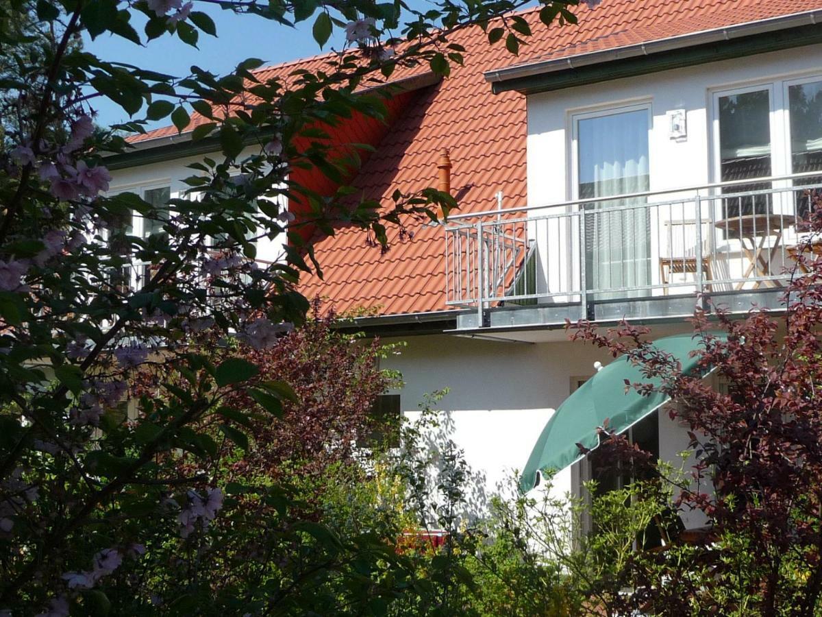 Steinbock-ferienwohnungen Apartment *