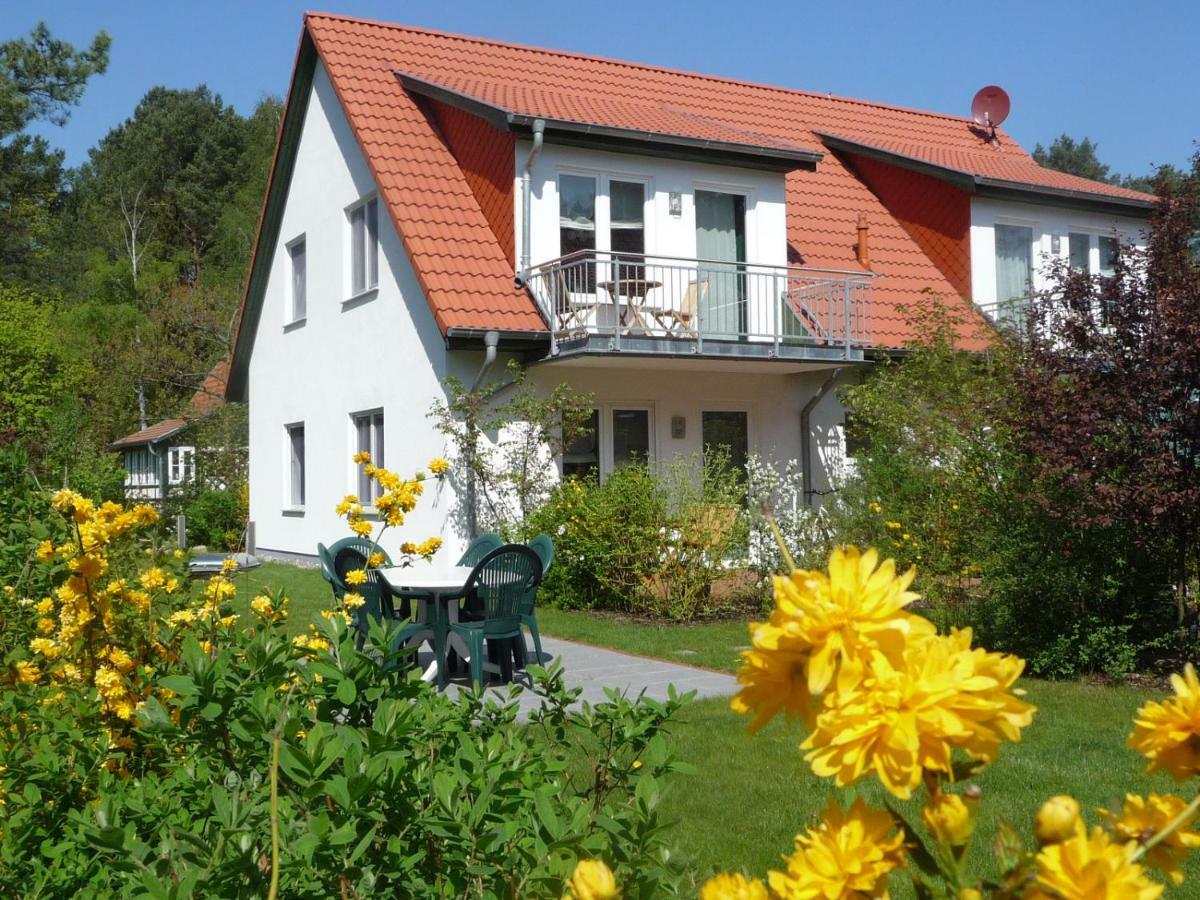 Steinbock-ferienwohnungen Apartment